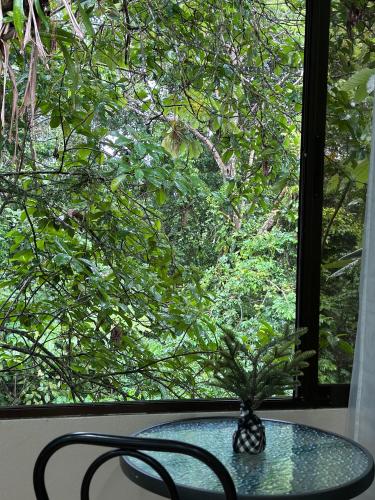 a vase sitting on a table in front of a window at Cabañas Río Escondido en La Fortuna in Fortuna