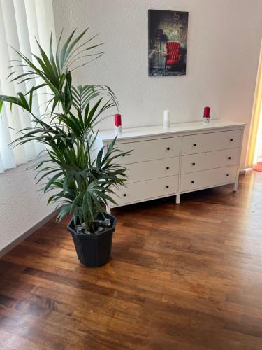 Fotografie z fotogalerie ubytování APARTMENT PETER v destinaci Interlaken