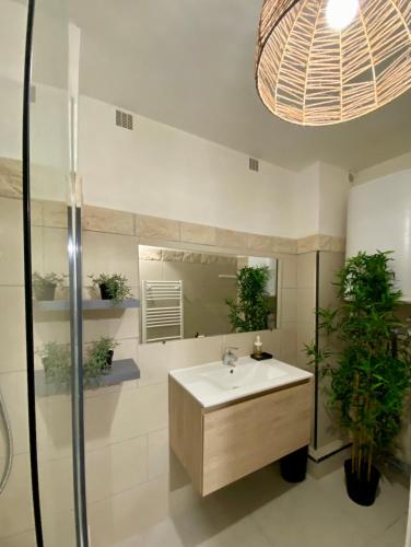 Magnifique Appartement Avignon Intra-Muros