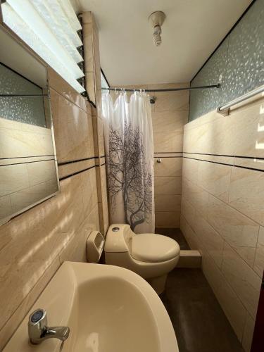 a bathroom with a white toilet and a sink at Hostal Apu Qhawarina - Ollantaytambo in Ollantaytambo