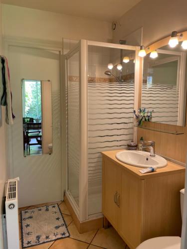une salle de bain avec un lavabo et une douche avec un miroir dans l'établissement Maison familiale - 20 mn Centre Paris et Stade de France- 5 Chambres, à Saint-Ouen