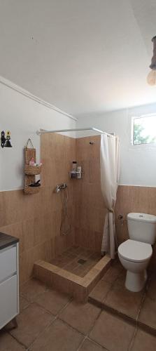 a bathroom with a tub and a toilet and a shower at Ca la Yaya in Lliria