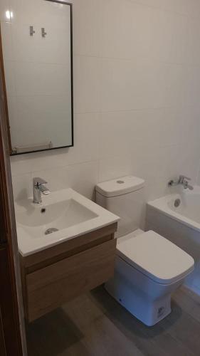 a bathroom with a sink and a toilet and a mirror at DEPARTAMENTOS TERMAS DE CHILLAN in Nevados de Chillan
