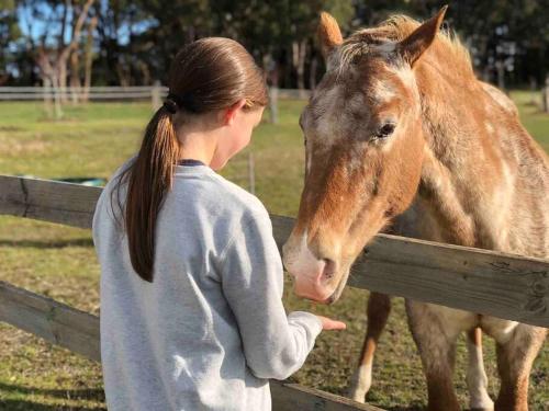 a young girl standing next to a fence petting a horse at Luxury Accomodation, Farm Stay, Stunning views near Daylesford in Springmount