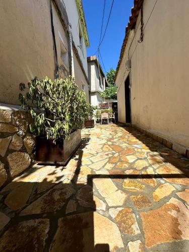 an alley with a potted plant on the side of a building at Hostel Leon in Berat