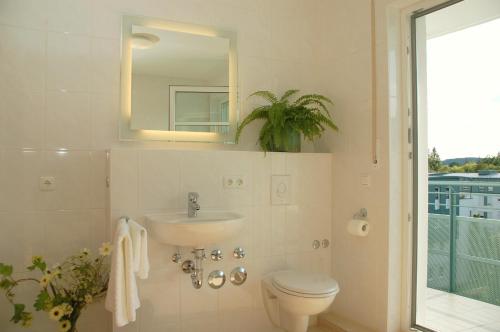 a bathroom with a sink and a toilet and a mirror at BTT Serviced Apartments in Regensburg