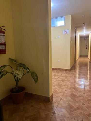 Fotografie z fotogalerie ubytování Hospedaje San Rafael v destinaci Tarapoto