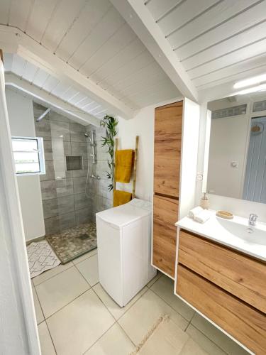a bathroom with a shower and a toilet and a sink at Appartement Les Balisiers - T3 spacieux vue sur mer in Trois-Rivières
