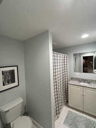 a white bathroom with a toilet and a shower at Bromley Farmhouse close to skiing and hikes in Peru