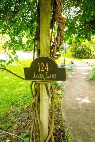 a sign attached to a tree with ropes at Beautiful Parkside Suite in Saint James