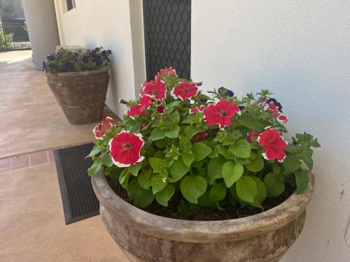 Jardín al aire libre en Nautilus Hamptons Style Luxury Beach Apartment Merimbula