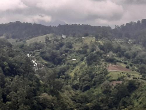 an aerial view of a lush green hillside with trees at Ella floating view in Ella