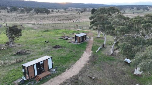 a small house in a field with trees at Clover at Lexington Park by Tiny Away in Tarlo
