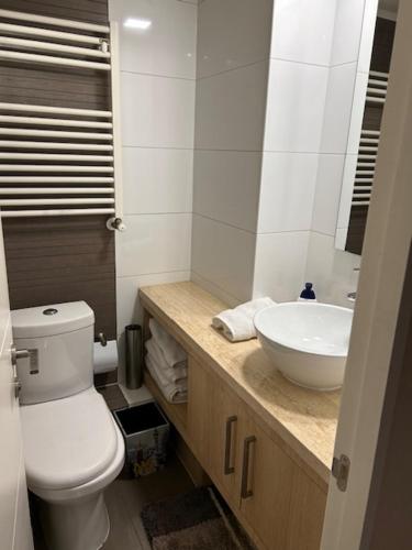 a bathroom with a white toilet and a sink at Departamentos Exclusivos Termas de Chillán in Nevados de Chillan