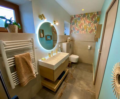 a bathroom with a sink and a mirror at Séjour confort et nature in Saint-Amans-Valtoret
