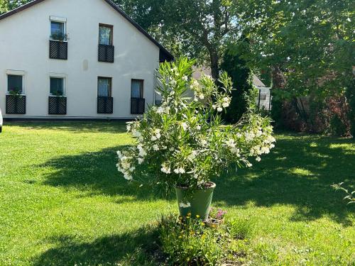 Noemi Appartman 8600 Siófok, 7 Beszédes József sétány kép - 3