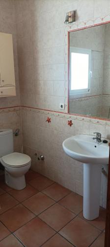 a bathroom with a toilet and a sink and a mirror at Villa Oasis in Los Gallardos