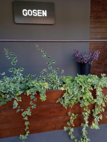 two potted plants in wooden planters in front of a sign at Vila Gosen in Şard