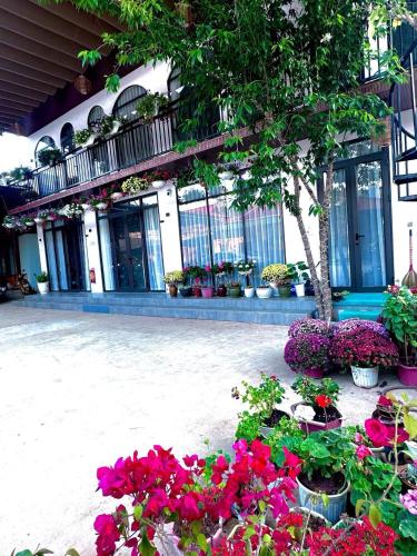 Zahrada ubytování Bin House - Mộc Châu