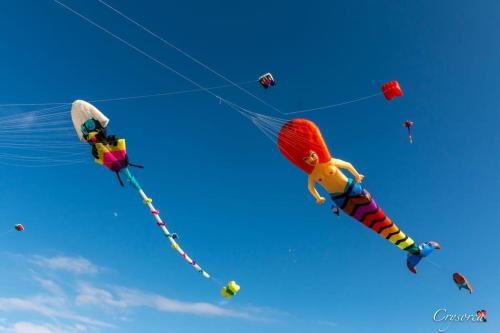 Une bande de cerfs volant dans le ciel dans l'établissement Studio du Phare Berck Plage, à Berck-sur-Mer