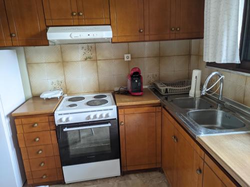 a small kitchen with a stove and a sink at Plateia Home in Kardítsa
