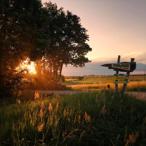 a street sign in a field with the sunset at Ośrodek Wypoczynkowy "U Kulasa" in Warchały