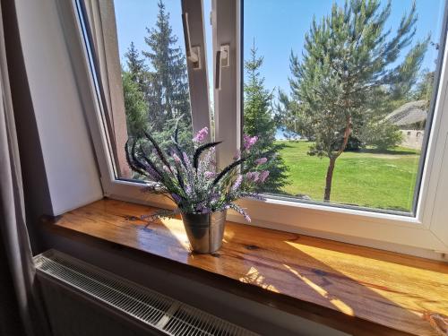 a vase of flowers sitting on a window sill at Ośrodek Wypoczynkowy "U Kulasa" in Warchały
