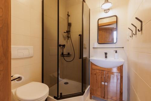 a bathroom with a shower and a toilet and a sink at Jesteśmy Na Ty - Apartamenty in Lewin Kłodzki