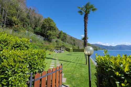 a palm tree in the middle of a lawn with a palm tree at Yachting Residence in Ghiffa