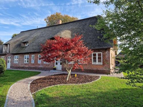a red tree in front of a brick house at Ferienwohnung Friesenwind in Rantrum