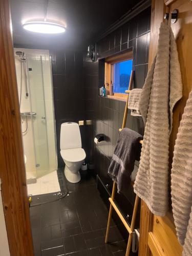 ein Badezimmer mit Toilette und Glasdusche in der Unterkunft Norra Sandby, lantlig njutning in Norra Sandby