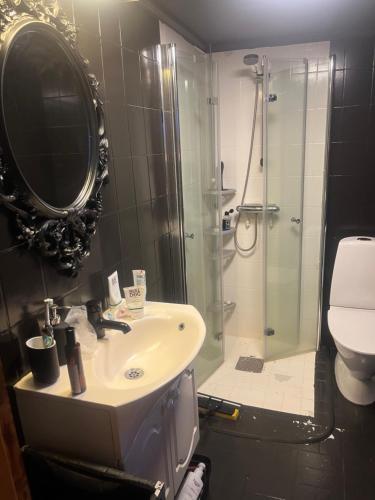 ein Badezimmer mit Waschbecken und Dusche mit Spiegel in der Unterkunft Norra Sandby, lantlig njutning in Norra Sandby