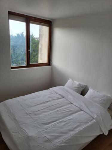 - un lit blanc dans une chambre avec fenêtre dans l'établissement charmant appartement bien situé, au Mans