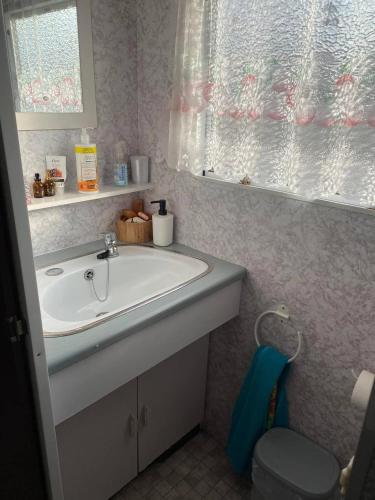 a bathroom with a sink and a toilet at Przyczepa holenderska in Ińsko