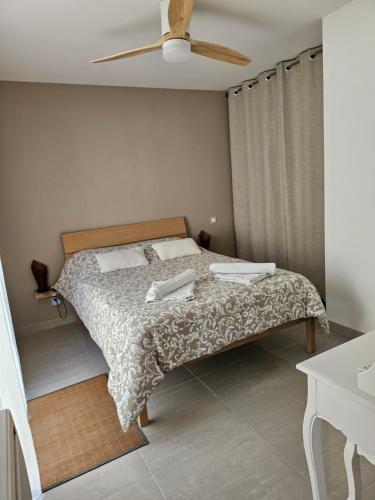 a bedroom with a bed and a ceiling fan at Le Mas Sophil in Carcès