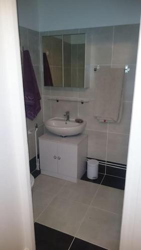 une salle de bain blanche avec un lavabo et un miroir dans l'établissement le saphir, à Aix-les-Bains