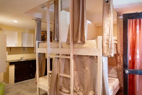 a bedroom with two bunk beds in a room at Lazy Dog Bed & Breakfast in Boracay