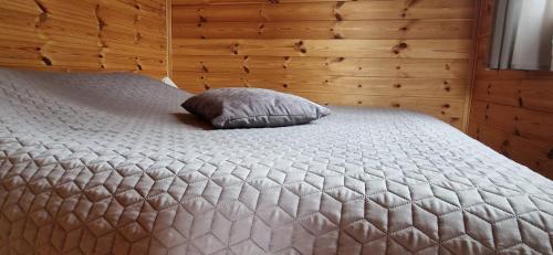 a bed with a pillow on it in a room at Brīvdienu mājas Lejnieki in Strante