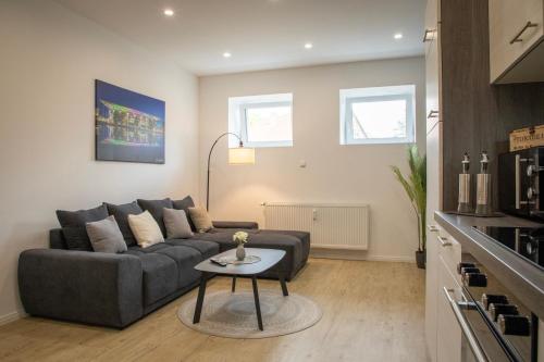 Η κουζίνα ή μικρή κουζίνα στο HANNIBAL - Design Apartment Orchidee 5, VW Nähe, Parkplatz, Küche, HighSpeed-WLAN, Fitness, Solarium