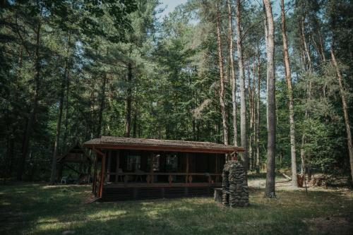 Forest Cabin - 50min od Warszawy
