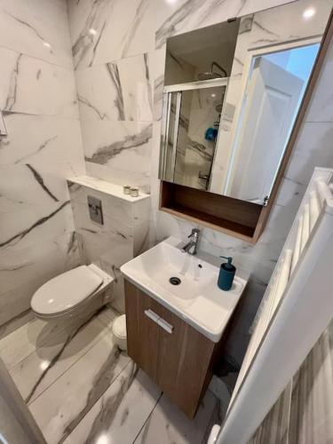 une salle de bain avec un lavabo, des toilettes et un miroir dans l'établissement Appartement de charme au cœur de la vielle ville, à Villefranche-sur-Mer