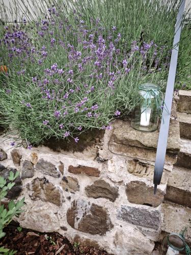 a garden with purple flowers and a stone wall at Penzion Pršutérie® in Litoměřice