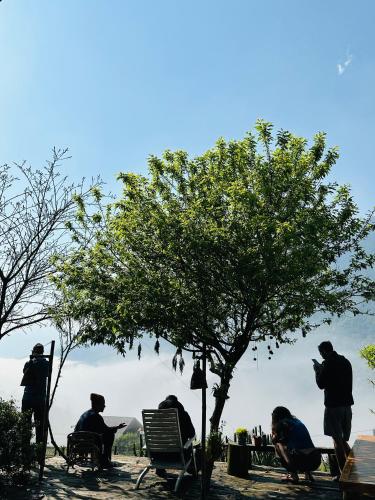 a group of people sitting under a tree near the water at La Beauté Sa Pa in Sa Pa