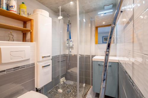 a bathroom with a shower and a toilet and a sink at Les Eaux Vives 1 in Fleury