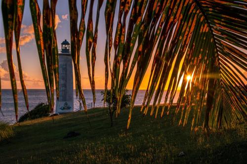 a lighthouse on the beach with a palm tree at Domaine Racines e Zel - Gîte PomKajou in Vieux-Fort