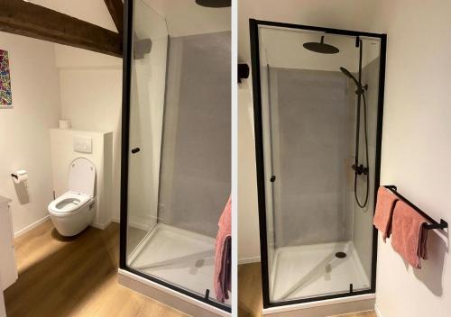 a shower stall in a bathroom with a toilet at Opera Boutique Rooms in Ghent