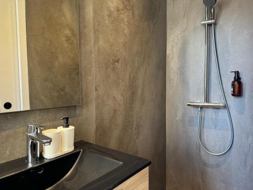 Ένα μπάνιο στο L'appartement Agave au Lavandou