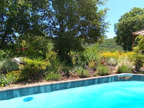 a swimming pool in a garden with plants at La guitoune in Laroque