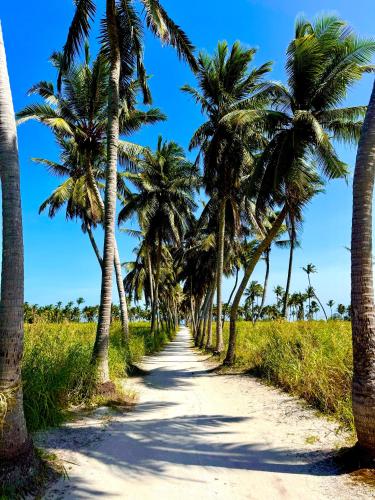 a road lined with palm trees on a beach at Sands Garden Hotel in Thoddoo