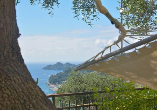 a view of the ocean from behind a tree at Andromeda Flexyrent in Rapallo